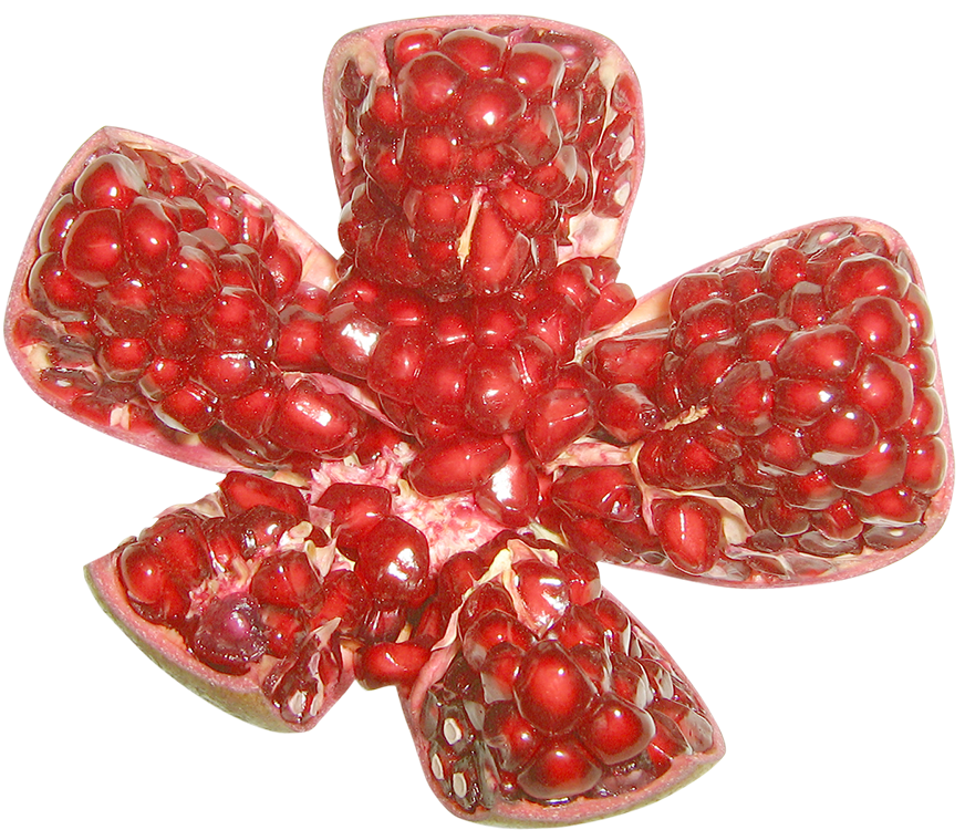 open Pomegranate  images, open Pomegranate  png, open Pomegranate  png image, open Pomegranate  transparent png image